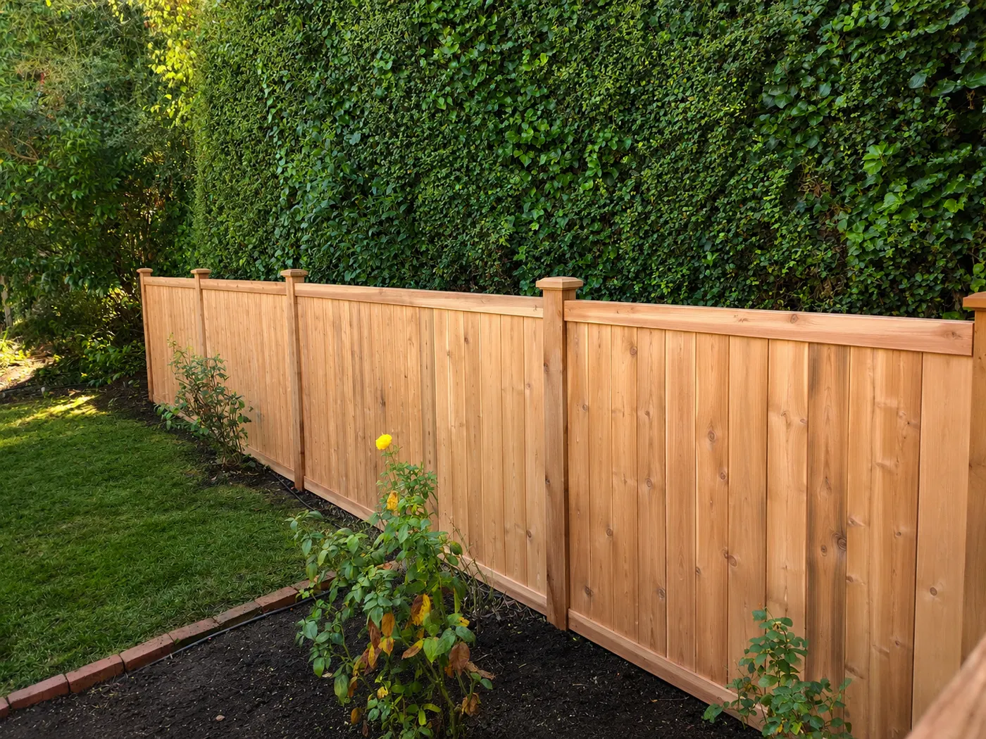 Cedar fence section