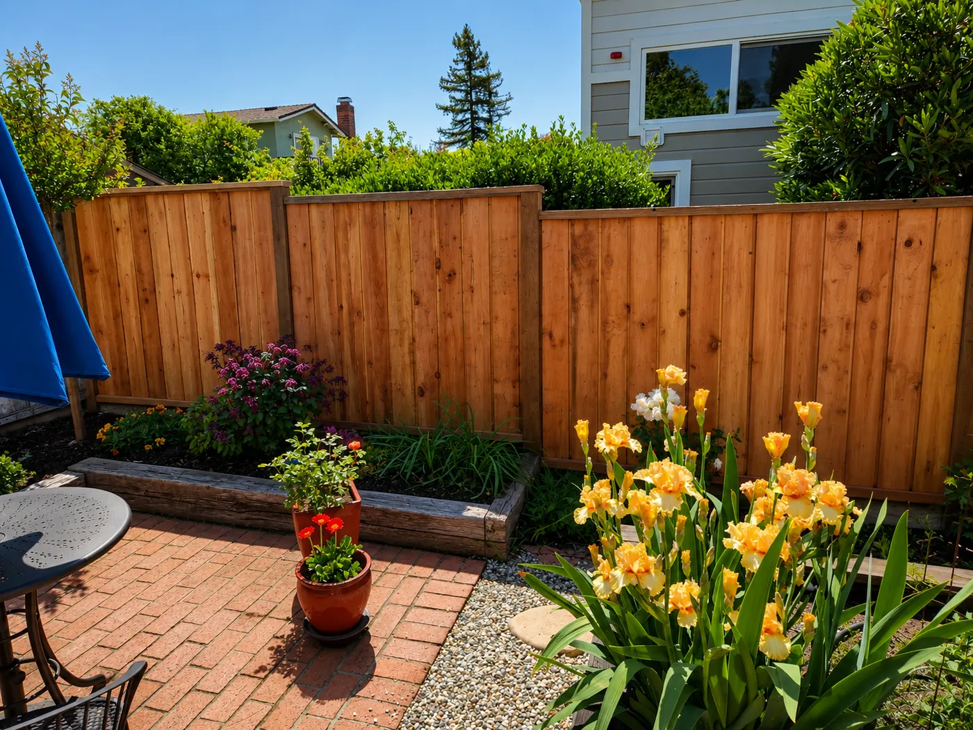 Fence & patio